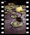 Picture for song 'A Cheatin' Song' by artist 'Kim Ragans'