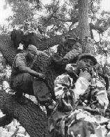 Picture for song 'Untitled 3' by artist 'king horrocores beat galaxy'