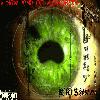 Picture for song 'Personal Apacolypse' by artist 'Kings of Kaos'