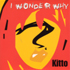 Picture for song 'I Wonder Why' by artist 'Kitto'