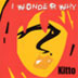 Picture for song 'Sudden Reality' by artist 'Kitto'