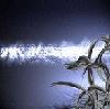 Picture for song 'Digital Choir' by artist 'KJN Instrumentals'