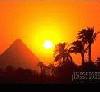 Picture for song 'Egyptian Club' by artist 'KJN Instrumentals'