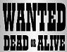 Picture for song 'Wanted: Dead or Alive' by artist 'KJN Instrumentals'