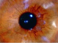 Picture for song 'Break It Down' by artist 'Klone(Regeneration)'