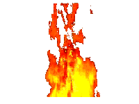 Picture for song 'Fiya' by artist 'Klozed Kapshun Productions'