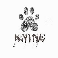 Picture for song '2004 Freestyle #2' by artist 'KNINE music'