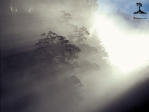 Picture for song 'Gonna Take a Miracle' by artist 'Knockoutz Cru'