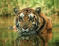 Picture for song 'Armed and Dangerous' by artist 'knoncents'