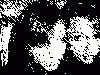 Picture for song 'Slow Down Remix' by artist 'Knowledge LBC'