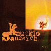 Picture for song 'American Song' by artist 'Knuckle Sandwich'