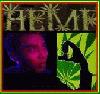 Picture for song 'Agent_Orange' by artist 'kokchael'