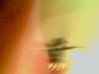 Picture for song 'On The Side by Joyce (Produced By KoKeyz)' by artist 'KoKeyZ Da Track Architect'