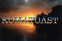 Picture for song 'Ashes to Ashes (the truth & the lies)' by artist 'KOMATOAST'