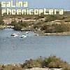 Picture for song 'SalinaPhoenicoptera' by artist 'kommbat'