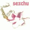 Picture for song 'Sezchu' by artist 'kommbat'