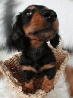 Picture for song 'Outside' by artist 'Kontd'