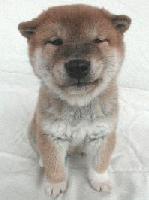 Picture for song 'Blue/Green' by artist 'Kontd'