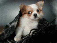 Picture for song 'Dance Dance Dance' by artist 'Kontd'