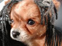 Picture for song 'At the Bar' by artist 'Kontd'