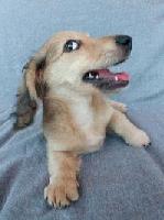 Picture for song 'Metropolis2000' by artist 'Kontd'