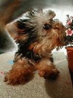 Picture for song 'Open Fields (Eat the Flowers Mix)' by artist 'Kontd'