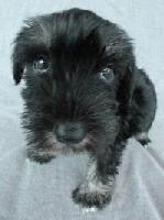 Picture for song 'Time to Leave' by artist 'Kontd'