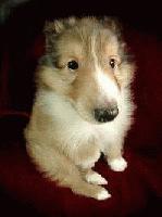 Picture for song 'Trust Me, I'm a Doctor' by artist 'Kontd'