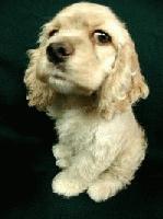 Picture for song 'Turn, Turn, Turn' by artist 'Kontd'