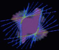 Picture for song 'TRIO for Violin, Cello and Piano' by artist 'kopecky'