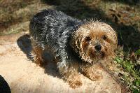 Picture for song 'Waitin' For The Right TIme' by artist 'Korma'