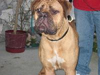 Picture for song 'Free Money' by artist 'K-oZ Crew'