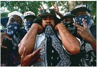 Picture for song 'All These n***'s Remix' by artist 'Krazie B'