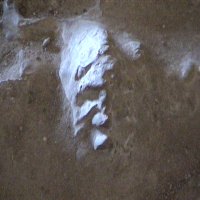 Picture for song 'SIDEREALITY' by artist 'Kris Tonner'