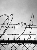 Picture for song 'neuroscape' by artist 'krou'