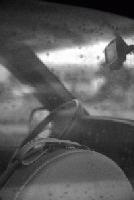 Picture for song 'Orly' by artist 'krou'