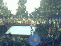 Picture for song 'The Champ Mike Tyson' by artist 'Kryptic Killa'