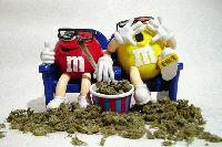 Picture for song 'This Is' by artist 'Krytical'