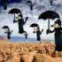 Picture for song 'tree river sky' by artist 'krzysztof duszkiewicz'