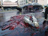 Picture for song 'andrew' by artist 'ksk'