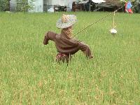 Picture for song 'steps leading down' by artist 'ksk'