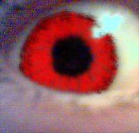 Picture for song 'Human Tension' by artist 'Kulture'