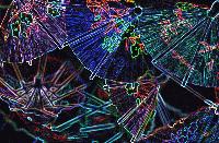 Picture for song 'bleikur og yndislegur' by artist 'Kung Pao'