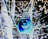 Picture for song 'blue ash mastication feat. charlie window' by artist 'labbor'