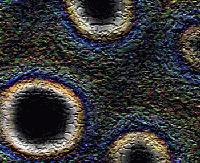 Picture for song 'sopht ejekt w/ charlie window' by artist 'labbor'