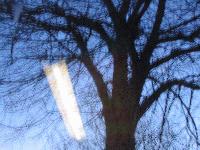 Picture for song 'Dub Pollution' by artist 'Lack of Energy or Interest'