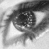 Picture for song 'Miisiin you' by artist 'La Perucha'