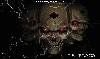Picture for song 'Noba ft. Eddie Black - Su Fustracion' by artist 'La Plaga Records'