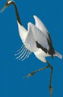 Picture for song 'ILL-2-KILL' by artist 'LaPRODUKTIVIBE Crew Sound Creations (instrumentals)'