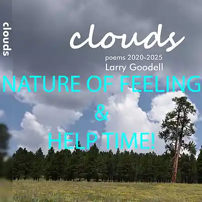 Picture for song 'Nature of Feeling and Help Time!' by artist 'larry goodell'